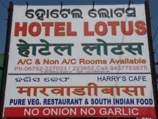 p1020290 large Welcome to Harrys Cafe & Hotel Lotus